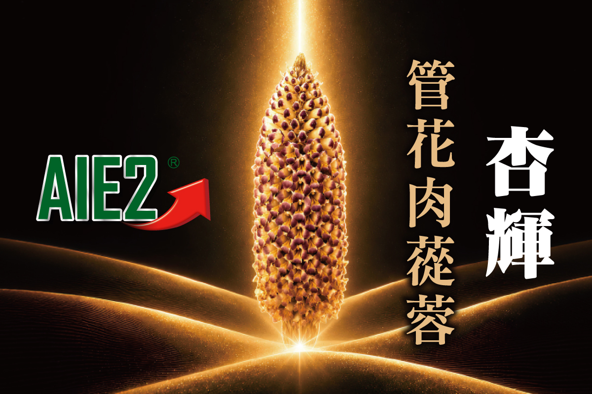 杏輝發表《管花肉蓯蓉》專書 從沙漠本草到科學研究驗證